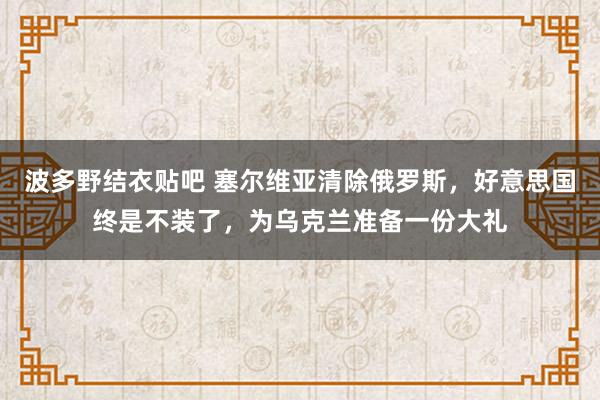 波多野结衣贴吧 塞尔维亚清除俄罗斯，好意思国终是不装了，为乌克兰准备一份大礼