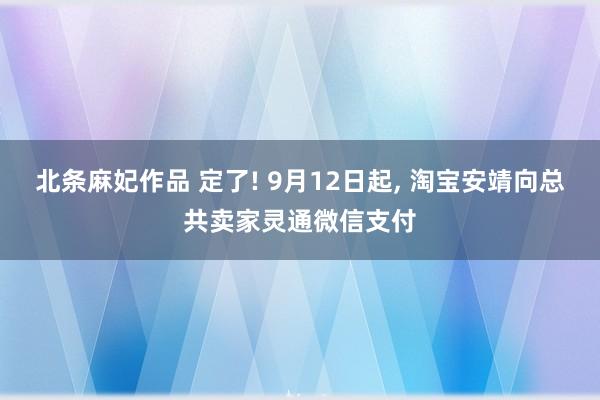 北条麻妃作品 定了! 9月12日起， 淘宝安靖向总共卖家灵通微信支付