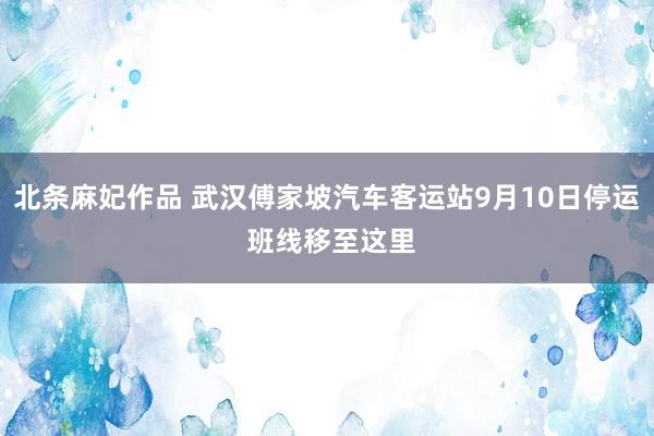 北条麻妃作品 武汉傅家坡汽车客运站9月10日停运 班线移至这里