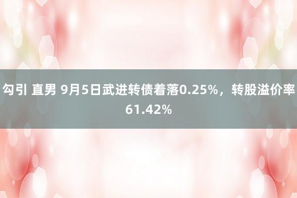 勾引 直男 9月5日武进转债着落0.25%，转股溢价率61.42%