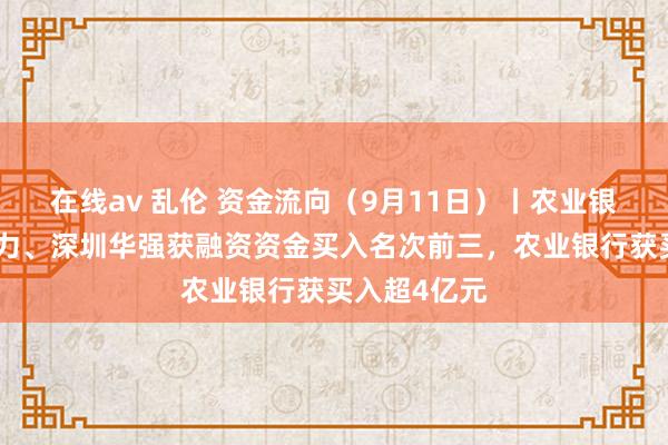 在线av 乱伦 资金流向（9月11日）丨农业银行、长江电力、深圳华强获融资资金买入名次前三，农业银行获买入超4亿元