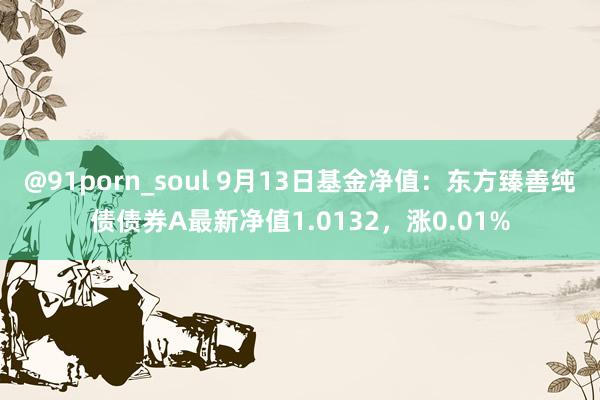 @91porn_soul 9月13日基金净值：东方臻善纯债债券A最新净值1.0132，涨0.01%