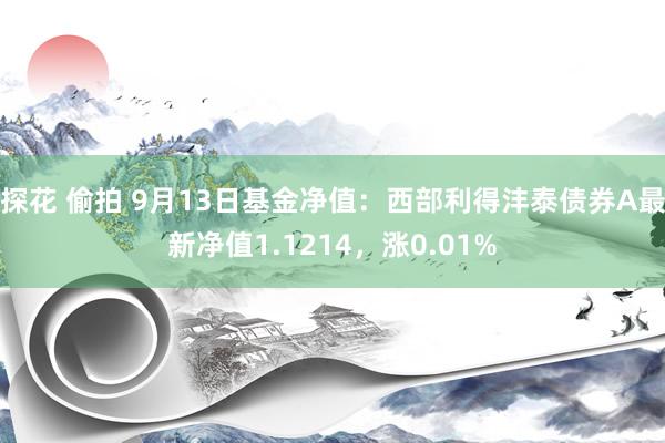 探花 偷拍 9月13日基金净值：西部利得沣泰债券A最新净值1.1214，涨0.01%