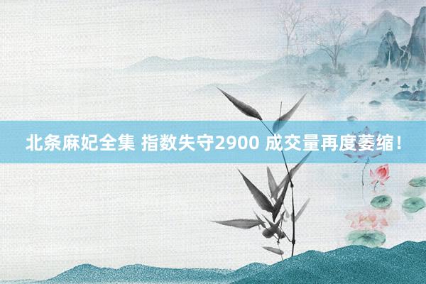 北条麻妃全集 指数失守2900 成交量再度萎缩！