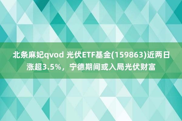 北条麻妃qvod 光伏ETF基金(159863)近两日涨超3.5%，宁德期间或入局光伏财富