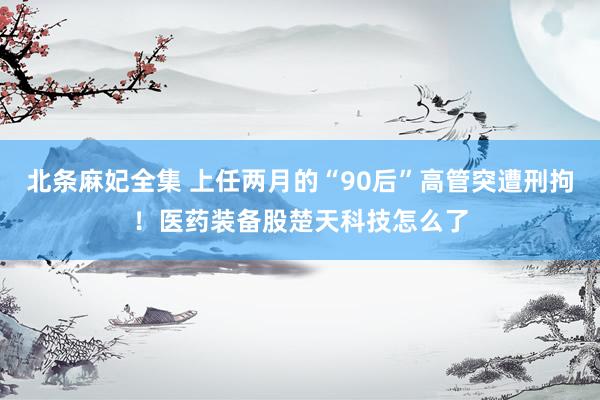 北条麻妃全集 上任两月的“90后”高管突遭刑拘！医药装备股楚天科技怎么了