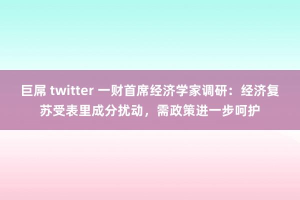 巨屌 twitter 一财首席经济学家调研：经济复苏受表里成分扰动，需政策进一步呵护