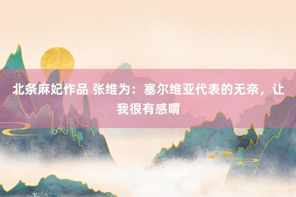 北条麻妃作品 张维为：塞尔维亚代表的无奈，让我很有感喟