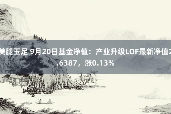 美腿玉足 9月20日基金净值：产业升级LOF最新净值2.6387，涨0.13%