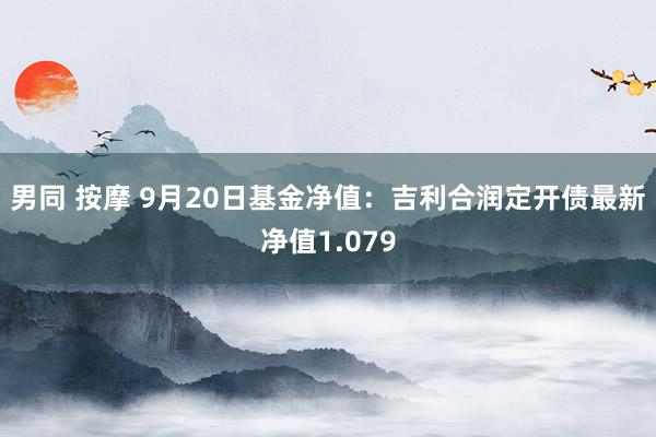 男同 按摩 9月20日基金净值：吉利合润定开债最新净值1.079