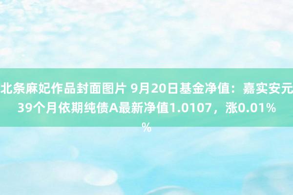 北条麻妃作品封面图片 9月20日基金净值：嘉实安元39个月依期纯债A最新净值1.0107，涨0.01%