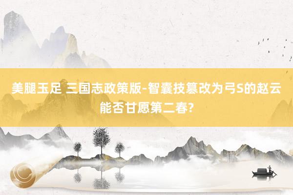 美腿玉足 三国志政策版-智囊技篡改为弓S的赵云能否甘愿第二春?