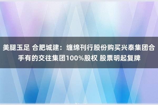 美腿玉足 合肥城建：缠绵刊行股份购买兴泰集团合手有的交往集团100%股权 股票明起复牌