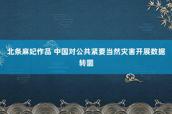 北条麻妃作品 中国对公共紧要当然灾害开展数据转圜