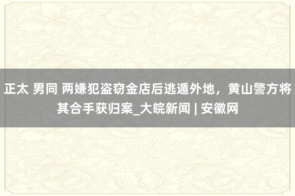 正太 男同 两嫌犯盗窃金店后逃遁外地，黄山警方将其合手获归案_大皖新闻 | 安徽网