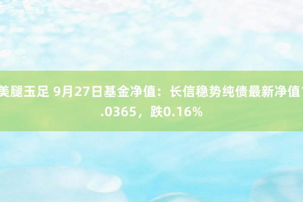 美腿玉足 9月27日基金净值：长信稳势纯债最新净值1.0365，跌0.16%