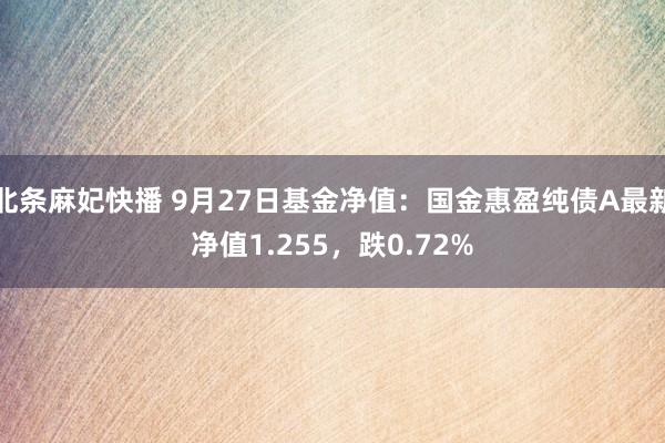 北条麻妃快播 9月27日基金净值：国金惠盈纯债A最新净值1.255，跌0.72%