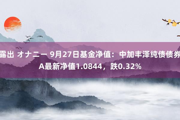 露出 オナニー 9月27日基金净值：中加丰泽纯债债券A最新净值1.0844，跌0.32%