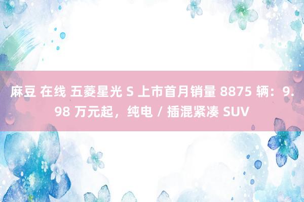 麻豆 在线 五菱星光 S 上市首月销量 8875 辆：9.98 万元起，纯电 / 插混紧凑 SUV