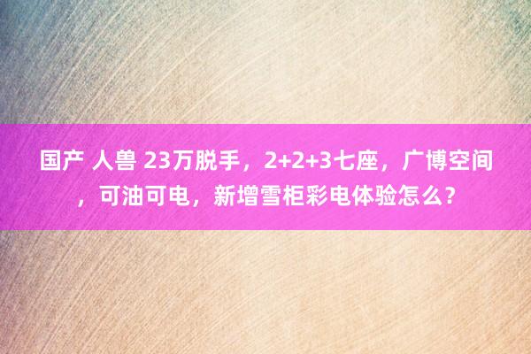 国产 人兽 23万脱手，2+2+3七座，广博空间，可油可电，新增雪柜彩电体验怎么？