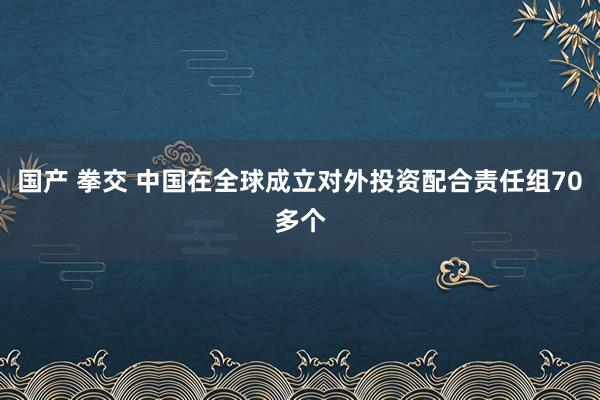 国产 拳交 中国在全球成立对外投资配合责任组70多个