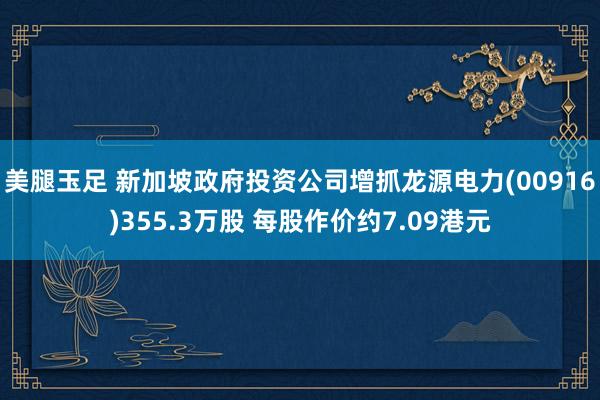 美腿玉足 新加坡政府投资公司增抓龙源电力(00916)355.3万股 每股作价约7.09港元