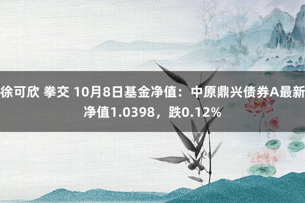 徐可欣 拳交 10月8日基金净值：中原鼎兴债券A最新净值1.0398，跌0.12%