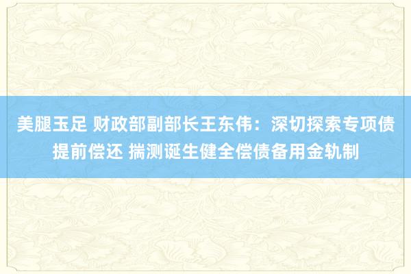 美腿玉足 财政部副部长王东伟：深切探索专项债提前偿还 揣测诞生健全偿债备用金轨制