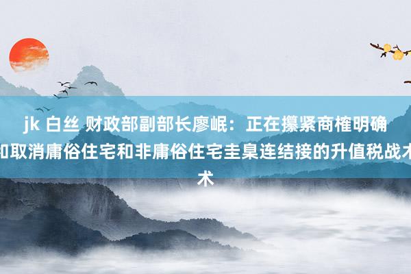 jk 白丝 财政部副部长廖岷：正在攥紧商榷明确和取消庸俗住宅和非庸俗住宅圭臬连结接的升值税战术