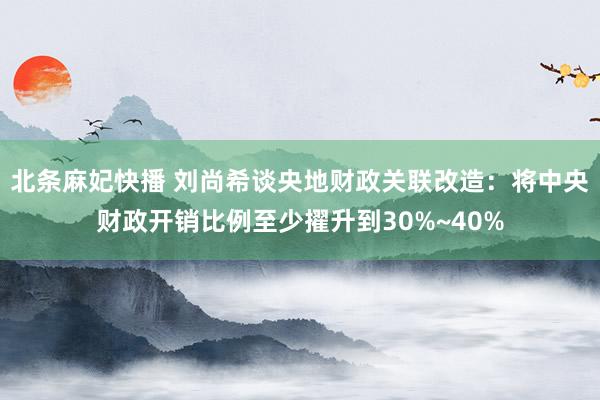 北条麻妃快播 刘尚希谈央地财政关联改造：将中央财政开销比例至少擢升到30%~40%