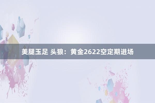 美腿玉足 头狼：黄金2622空定期进场