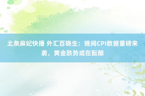 北条麻妃快播 外汇百晓生：晚间CPI数据重磅来袭，黄金跌势或在酝酿