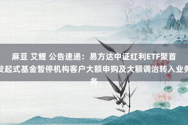 麻豆 艾鲤 公告速递：易方达中证红利ETF聚首发起式基金暂停机构客户大额申购及大额调治转入业务