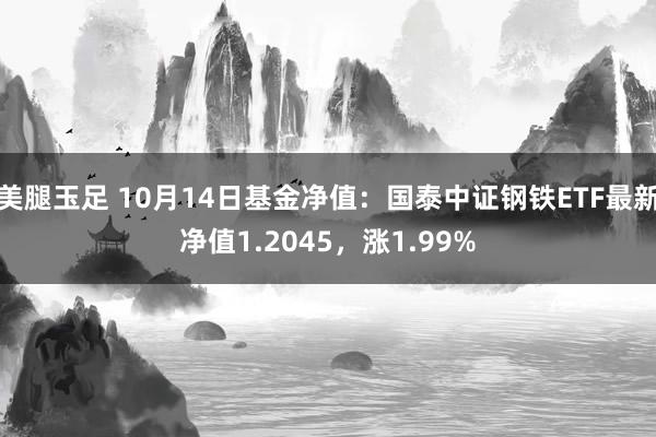 美腿玉足 10月14日基金净值：国泰中证钢铁ETF最新净值1.2045，涨1.99%