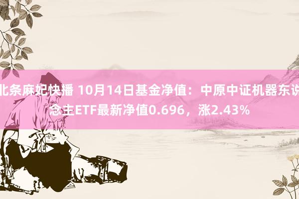 北条麻妃快播 10月14日基金净值：中原中证机器东说念主ETF最新净值0.696，涨2.43%