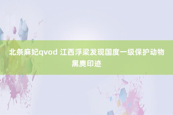 北条麻妃qvod 江西浮梁发现国度一级保护动物黑麂印迹