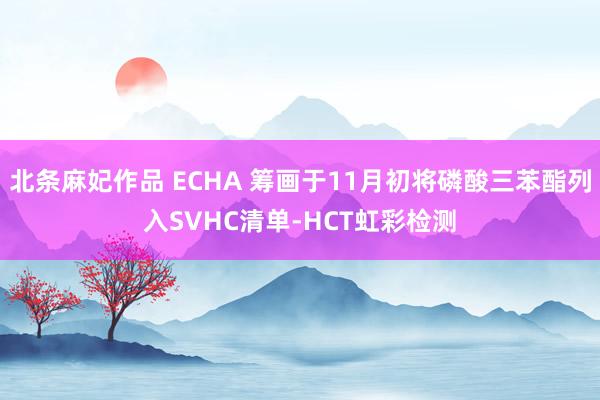 北条麻妃作品 ECHA 筹画于11月初将磷酸三苯酯列入SVHC清单-HCT虹彩检测