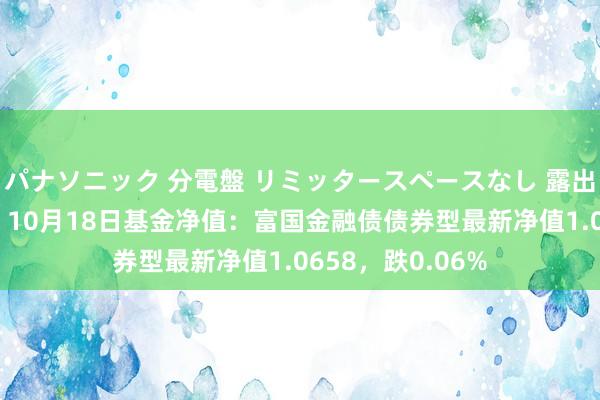 パナソニック 分電盤 リミッタースペースなし 露出・半埋込両用形 10月18日基金净值：富国金融债债券型最新净值1.0658，跌0.06%