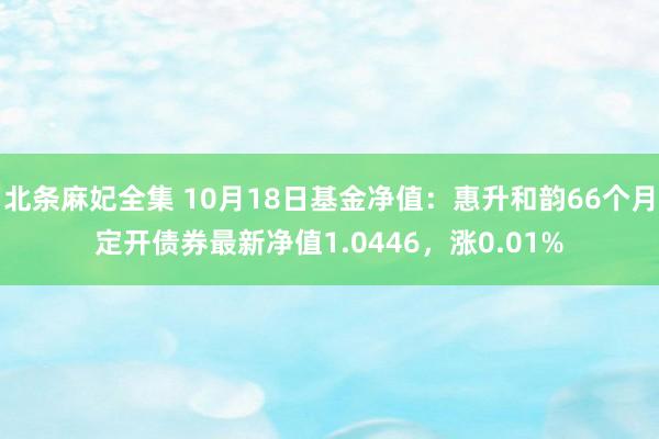 北条麻妃全集 10月18日基金净值：惠升和韵66个月定开债券最新净值1.0446，涨0.01%