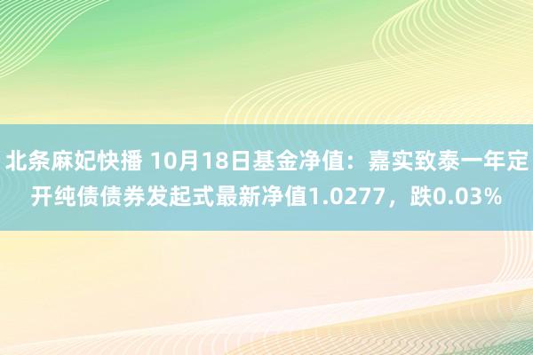 北条麻妃快播 10月18日基金净值：嘉实致泰一年定开纯债债券发起式最新净值1.0277，跌0.03%