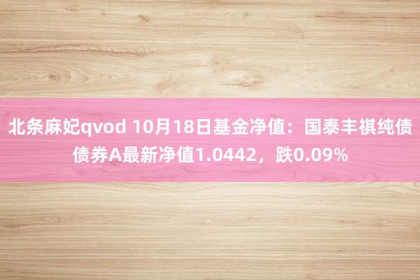 北条麻妃qvod 10月18日基金净值：国泰丰祺纯债债券A最新净值1.0442，跌0.09%