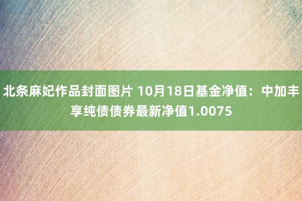 北条麻妃作品封面图片 10月18日基金净值：中加丰享纯债债券最新净值1.0075