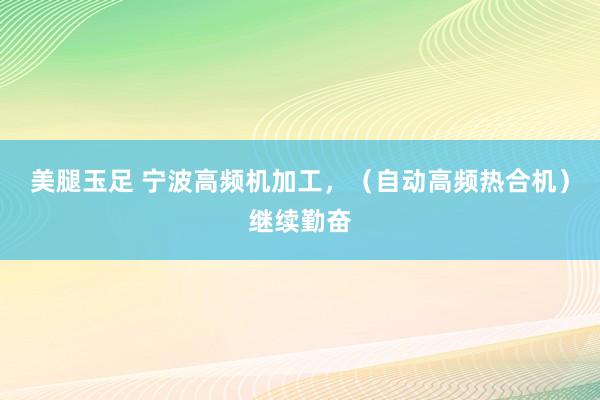 美腿玉足 宁波高频机加工，（自动高频热合机）继续勤奋