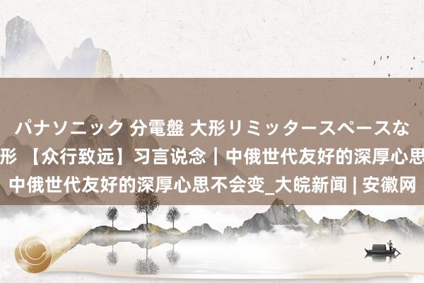 パナソニック 分電盤 大形リミッタースペースなし 露出・半埋込両用形 【众行致远】习言说念｜中俄世代友好的深厚心思不会变_大皖新闻 | 安徽网