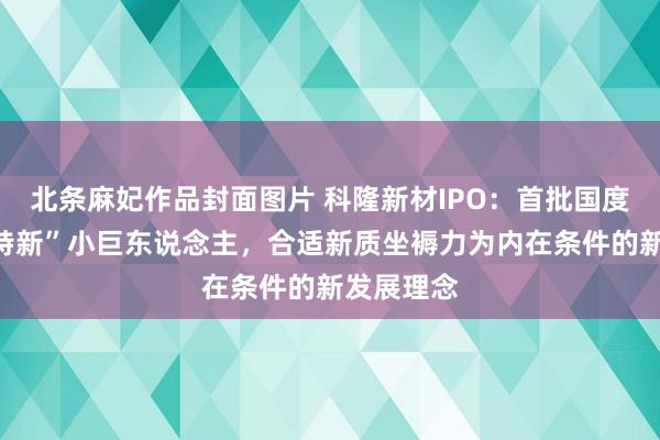 北条麻妃作品封面图片 科隆新材IPO：首批国度级“专精特新”小巨东说念主，合适新质坐褥力为内在条件的新发展理念