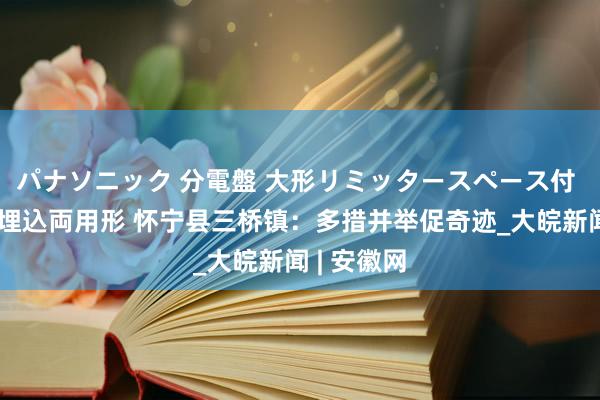 パナソニック 分電盤 大形リミッタースペース付 露出・半埋込両用形 怀宁县三桥镇：多措并举促奇迹_大皖新闻 | 安徽网