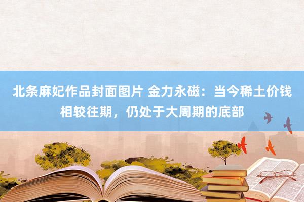 北条麻妃作品封面图片 金力永磁：当今稀土价钱相较往期，仍处于大周期的底部