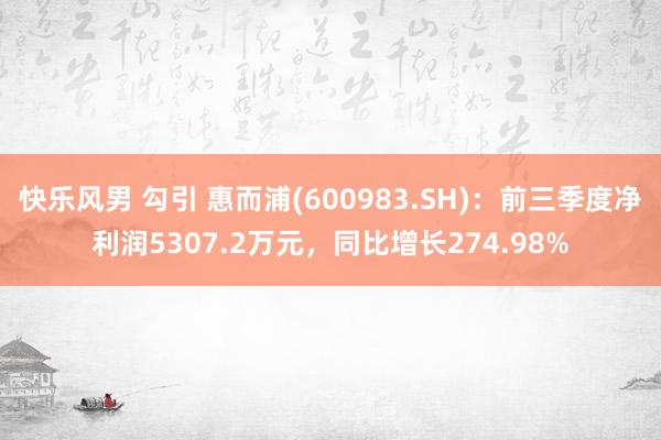 快乐风男 勾引 惠而浦(600983.SH)：前三季度净利润5307.2万元，同比增长274.98%