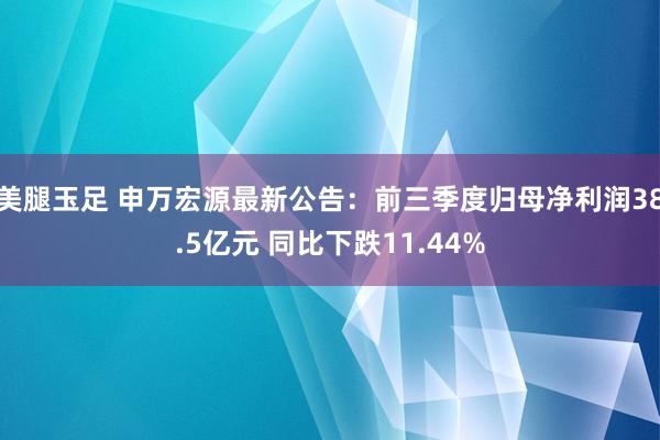 美腿玉足 申万宏源最新公告：前三季度归母净利润38.5亿元 同比下跌11.44%