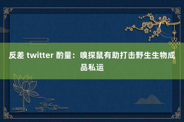 反差 twitter 酌量：嗅探鼠有助打击野生生物成品私运